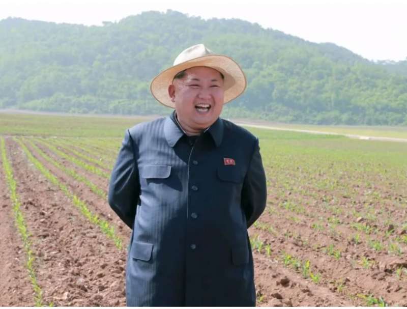 il dittatore nordcoreano kim jong un in un campo coltivato