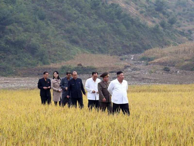 il dittatore nordcoreano kim jong un in un campo di grano