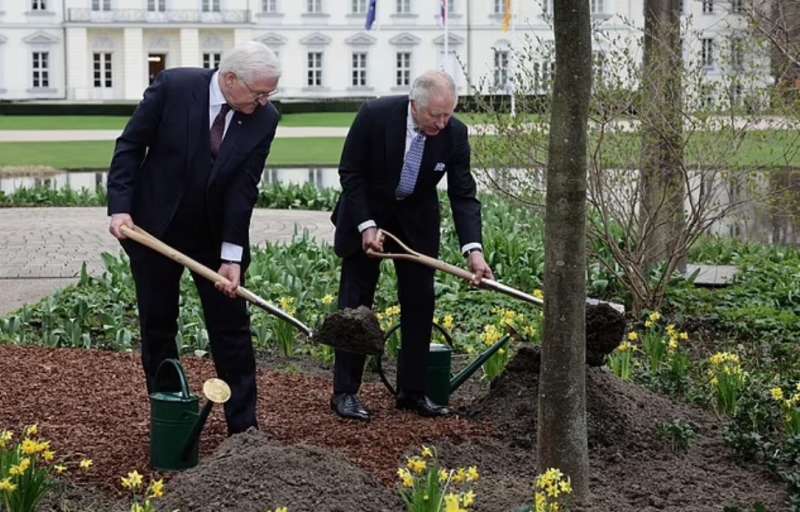 presidente tedesco frank walter steinmeier piantano un albero