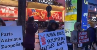 proteste degli animalisti davanti al moulin rouge