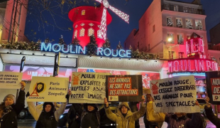 proteste degli animalisti davanti al moulin rouge