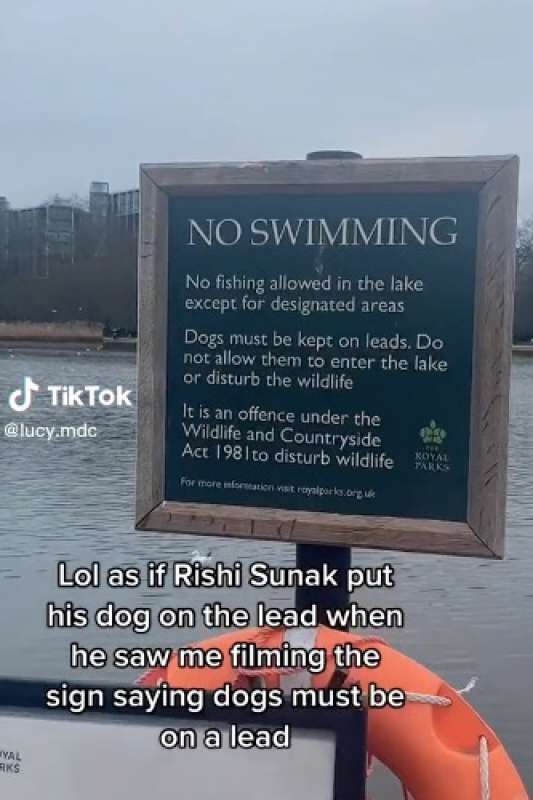rishi sunak lascia il cane libero a hyde park 10