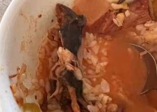 topo morto nella zuppa del ristorante coreano gammeeok di new york 2
