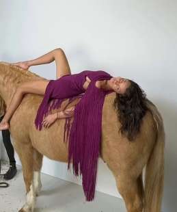 bella hadid e il suo cavallo 1