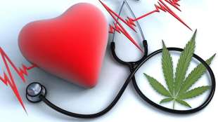 cannabis e salute cardiaca 1