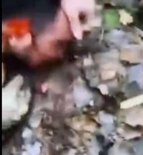 soldati russi staccano l orecchio a rachabalizoda saidakrami e lo costringono a mangiarlo 5