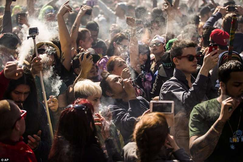 festa della marijuana a toronto