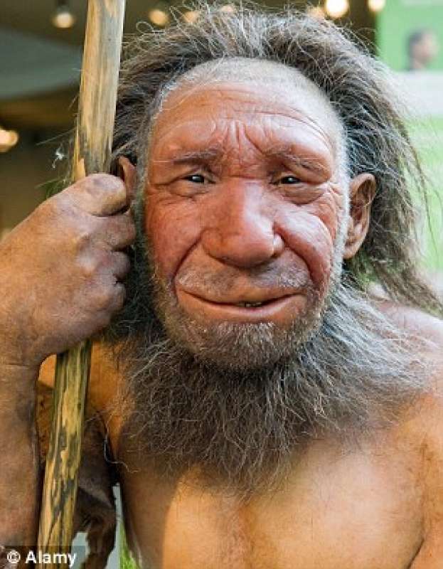 uomo di neanderthal