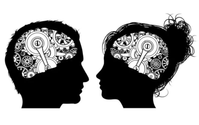 cervello uomo e donna 4