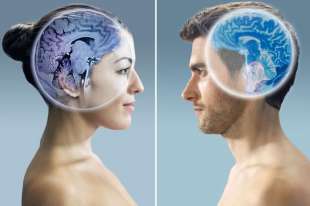 cervello uomo e donna 6