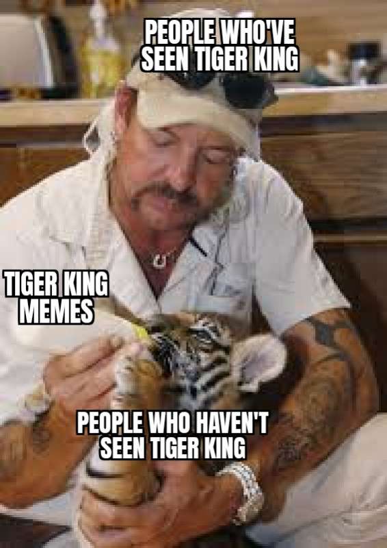 meme su tiger king 6