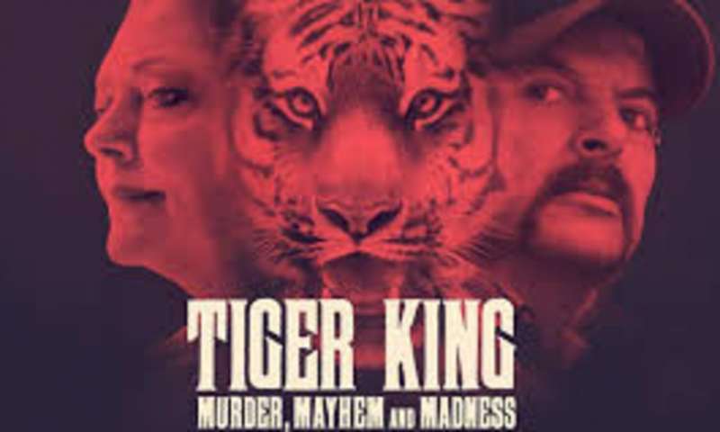 tiger king 2
