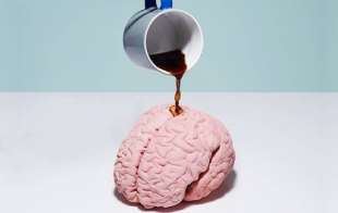 caffe cervello