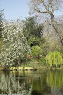 i giardini di buckingham palace 1