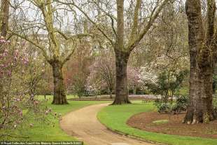 i giardini di buckingham palace 10