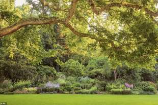 i giardini di buckingham palace 15
