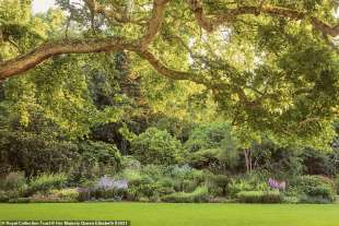 i giardini di buckingham palace 4
