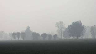 nebbia emilia romagna 4