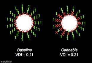 test oculari cannabis