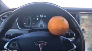 Un'arancia per ingannare la Tesla