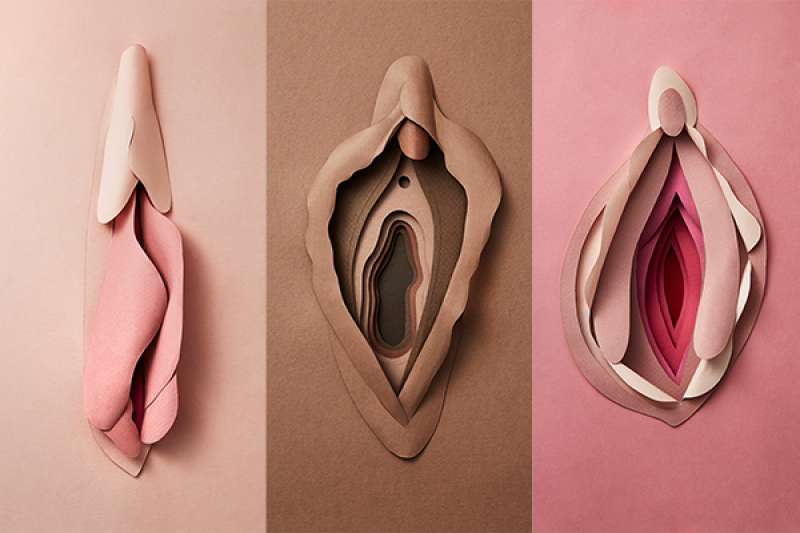 vagina arte