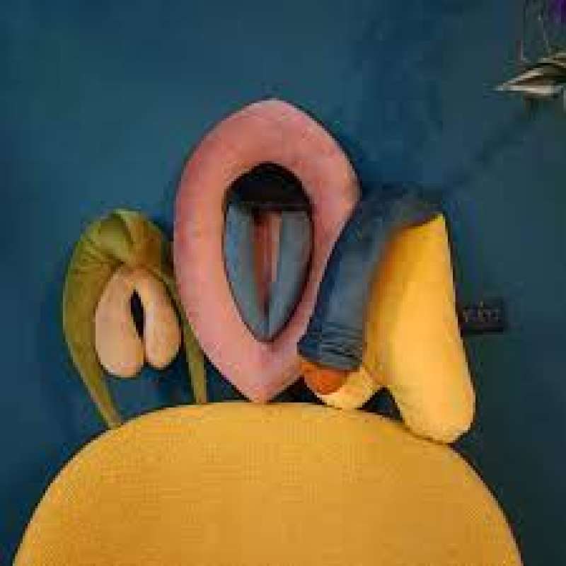 cuscino vulva clitoride