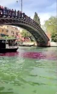 colorante nelle acque del canal grande a venezia 3