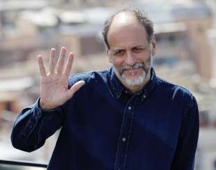 luca guadagnino photocall challengers a roma