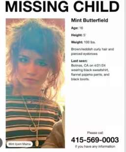 mint butterfield scomparsa