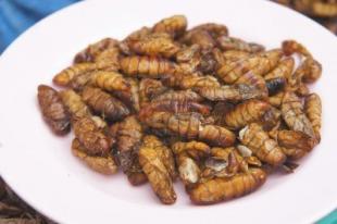 il menu esotico in thailandia e insetti fritti