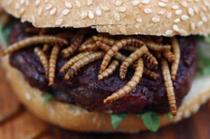 hamburger con insetti