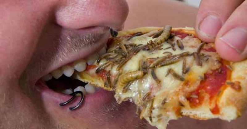 pizza con insetti