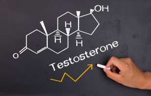testosterone 4