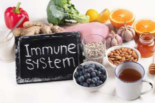 sistema immunitario e dieta 1 4