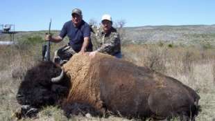 cacciatori di bisonti