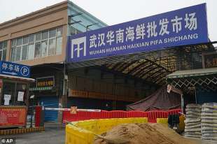 Mercato di Wuhan