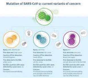 mutazioni sars cov 2