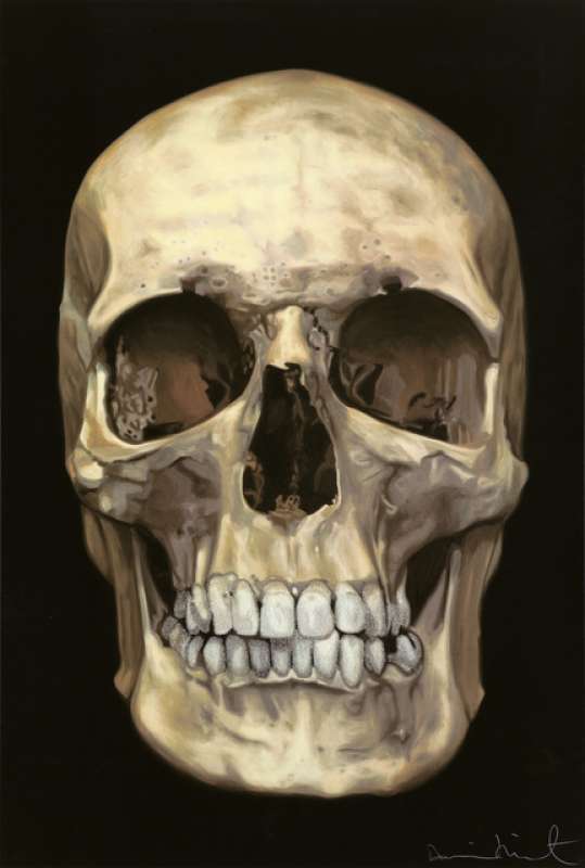 Skull Beneath the Skin Damien Hirst