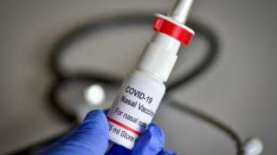 vaccino covid spray nasale 4