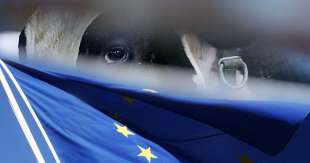 commissario europeo per il benessere animale