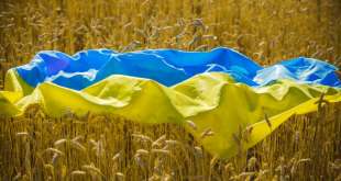 dopo la guerra crisi del grano ucraino 1