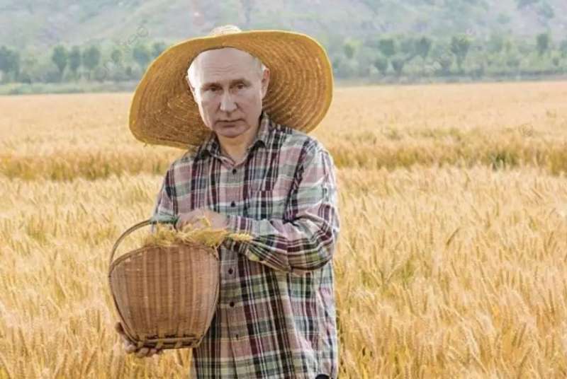 dopo la guerra crisi del grano ucraino 5