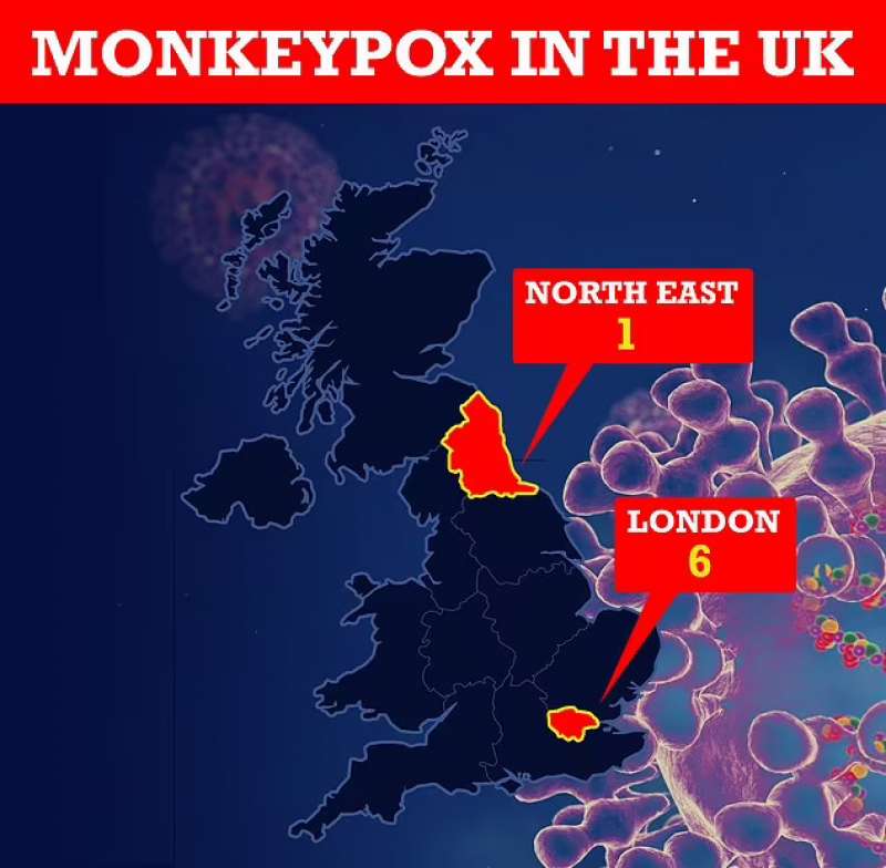 Epidemia Vaiolo Scimmie in UK