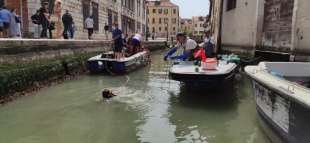 gondolieri sub ripuliscono i canali di venezia 7