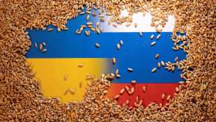 La guerra del grano in Ucraina