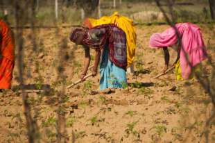 lavoratrici agricole senza utero in india 1