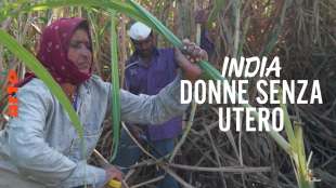 lavoratrici agricole senza utero in india 4