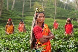 lavoratrici agricole senza utero in india 5