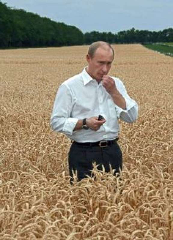 putin crisi del grano in ucraina 1