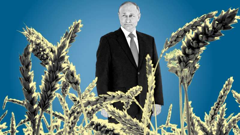 putin crisi del grano in ucraina 2